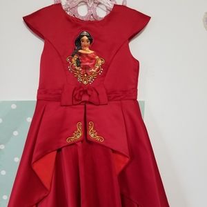 Disney's Elena of Avalor dress